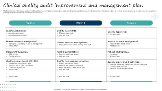 Clinical Quality Audit Improvement And Management Plan Information PDF