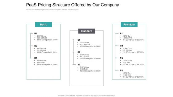 Cloud Based Marketing Paas Pricing Structure Offered By Our Company Ppt PowerPoint Presentation Icon Brochure PDF