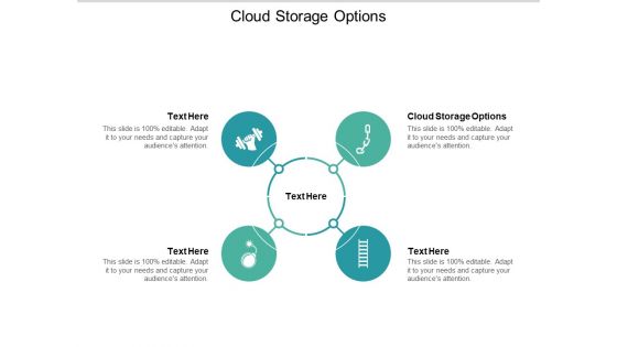 Cloud Storage Options Ppt PowerPoint Presentation Styles Example Cpb