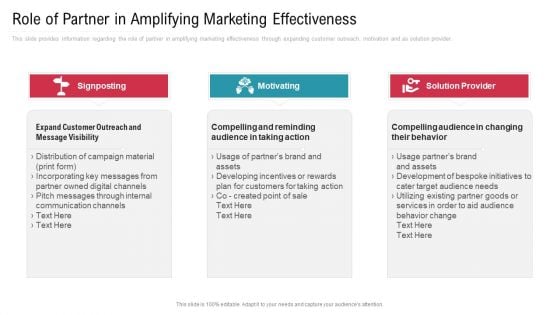 Co Variety Advertisement Role Of Partner In Amplifying Marketing Effectiveness Summary PDF