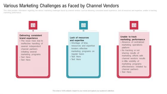 Co Variety Advertisement Various Marketing Challenges As Faced By Channel Vendors Infographics PDF