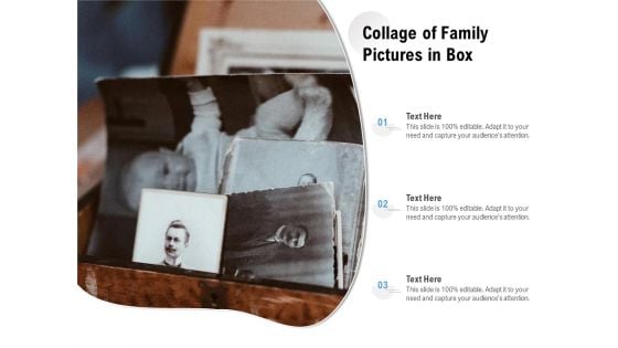 Collage Of Family Pictures In Box Ppt PowerPoint Presentation Model Format Ideas PDF