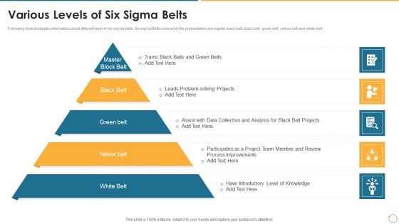 Collection Of Quality Assurance PPT Various Levels Of Six Sigma Belts Information PDF