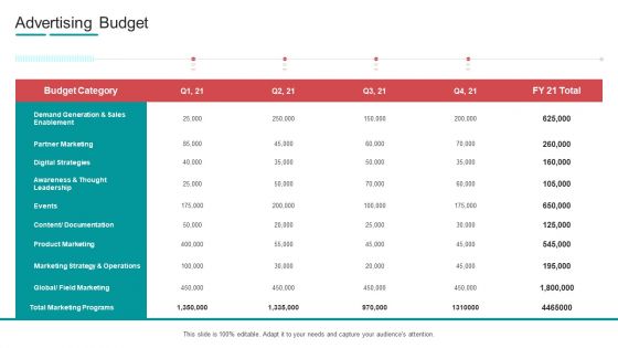 Commodity Channel Segmentation Advertising Budget Ppt Gallery Professional PDF