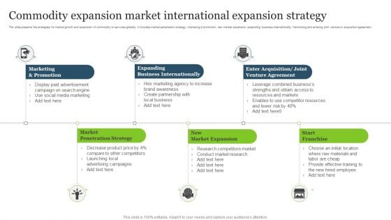 Commodity Expansion Market International Expansion Strategy Template PDF