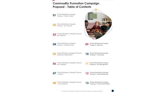 Commodity Promotion Campaign Proposal Table Of Contents One Pager Sample Example Document Commodity Promotion Campaign Proposal Table Of Contents One Pager Sample Example Document