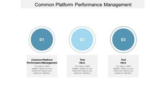 Common Platform Performance Management Ppt PowerPoint Presentation Diagram Templates Cpb