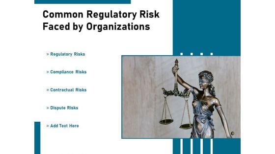 Common Regulatory Risk Faced By Organizations Ppt PowerPoint Presentation Infographic Template Slides PDF