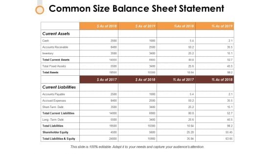 Common Size Balance Sheet Statement Ppt PowerPoint Presentation Model Layouts