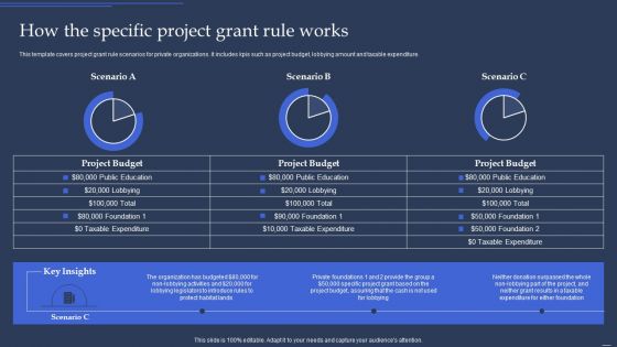 Community Policy Resources How The Specific Project Grant Rule Works Infographics PDF