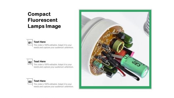 Compact Fluorescent Lamps Image Ppt PowerPoint Presentation Show Icon PDF Compact Fluorescent Lamps Image Ppt PowerPoint Presentation Show Icon PDF