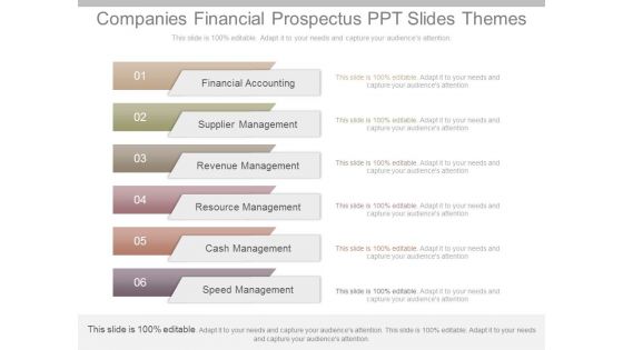 Companies Financial Prospectus Ppt Slides Themes