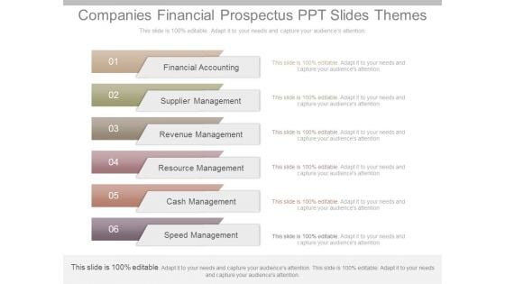 Companies Financial Prospectus Ppt Slides Themes