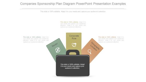 Companies Sponsorship Plan Diagram Powerpoint Presentation Examples