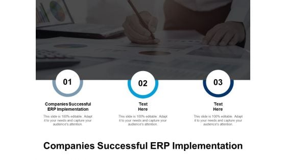 Companies Successful ERP Implementation Ppt PowerPoint Presentation Show Display Cpb