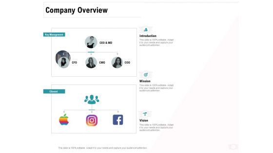 Company Amalgamation Company Overview Ppt Styles Example File PDF