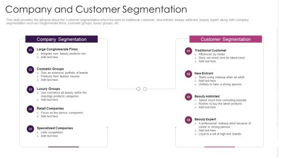 Company And Customer Segmentation Graphics PDF