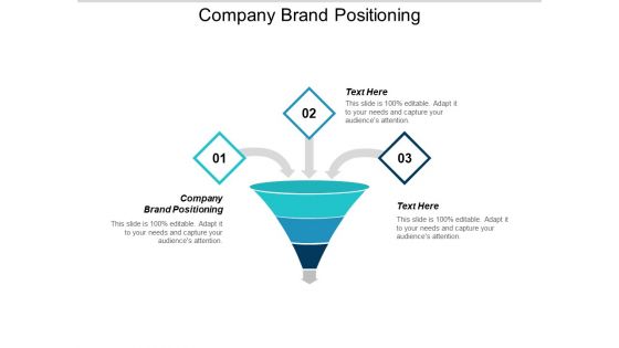 Company Brand Positioning Ppt PowerPoint Presentation Show Samples Cpb