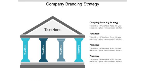 Company Branding Strategy Ppt PowerPoint Presentation Layouts Example