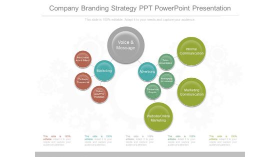 Company Branding Strategy Ppt Powerpoint Presentation