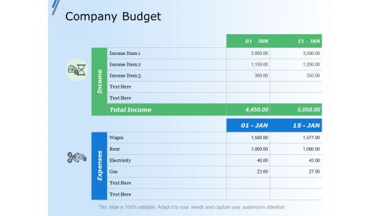 Company Budget Marketing Ppt Powerpoint Presentation File Show