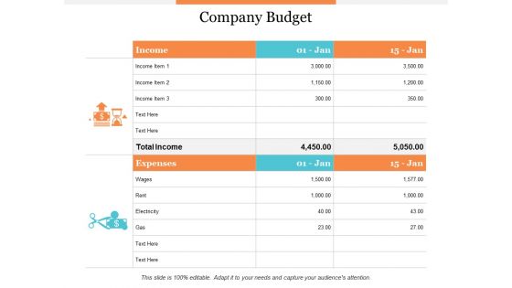 Company Budget Ppt PowerPoint Presentation Layouts Sample