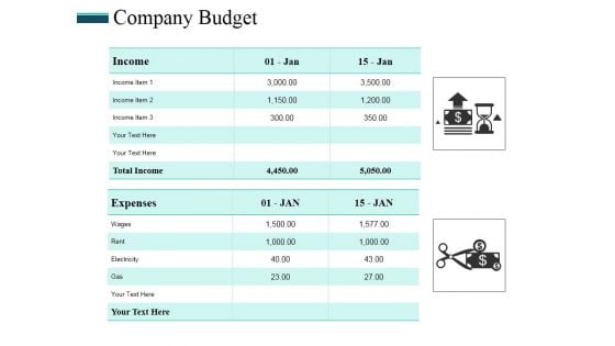 Company Budget Ppt PowerPoint Presentation Model