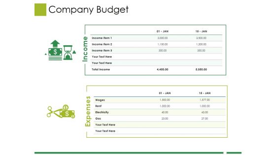 Company Budget Ppt PowerPoint Presentation Slides Master Slide