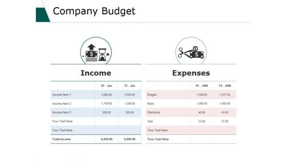 Company Budget Ppt PowerPoint Presentation Summary Graphic Tips