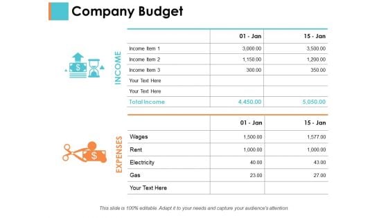 Company Budget Sample Budget Ppt Ppt PowerPoint Presentation Layouts Picture