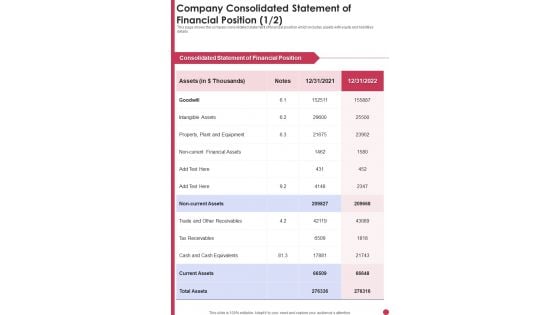 Company Consolidated Statement Of Financial Position Template 268 One Pager Documents