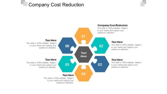 Company Cost Reduction Ppt Powerpoint Presentation Summary Designs Download Cpb