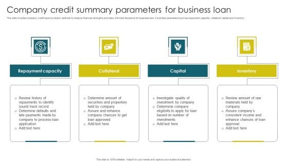 Company Credit Summary Parameters For Business Loan Professional PDF