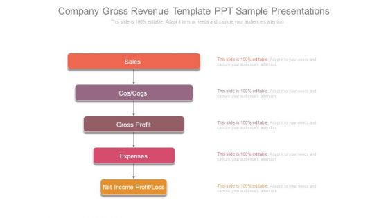 Company Gross Revenue Template Ppt Sample Presentations