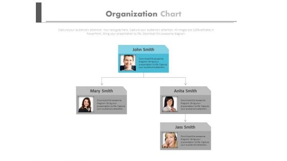 Company Hierarchy Structure Design Powerpoint Slides