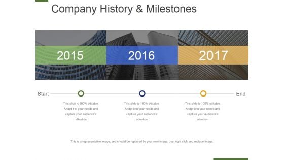 Company History And Milestones Template 2 Ppt PowerPoint Presentation Model Example