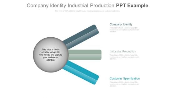 Company Identity Industrial Production Ppt Example