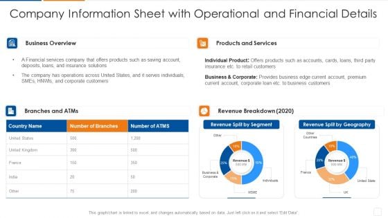 Company Information Sheet With Operational And Financial Details Professional PDF