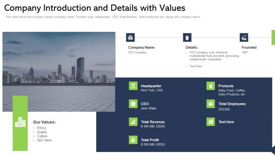 Company Introduction And Details With Values Ppt Icon PDF