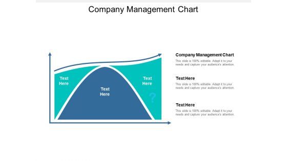 Company Management Chart Ppt PowerPoint Presentation Inspiration Portfolio Cpb