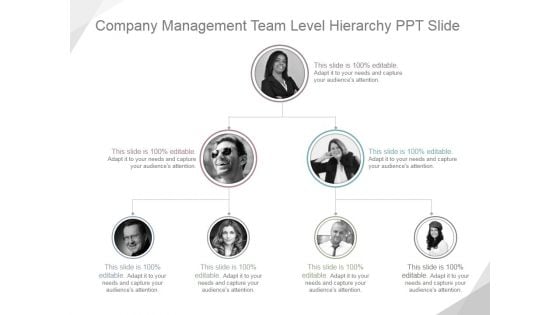 Company Management Team Level Hierarchy Ppt PowerPoint Presentation Background Designs