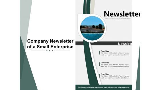 Company Newsletter Of A Small Enterprise Ppt PowerPoint Presentation File Design Templates PDF