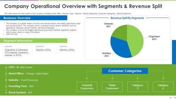 Company Operational Overview With Segments And Revenue Split Template PDF