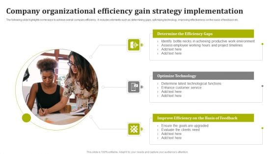 Company Organizational Efficiency Gain Strategy Implementation Structure PDF