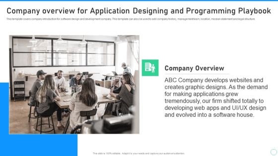 Company Overview For Application Designing And Programming Playbook Summary PDF