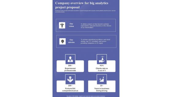 Company Overview For Big Analytics Project Proposal One Pager Sample Example Document