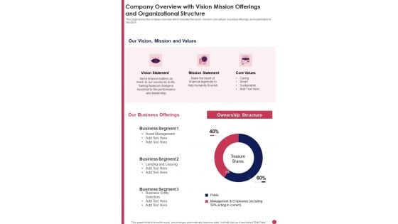 Company Overview With Vision Mission Offerings And Organizational Structure Template 278 One Pager Documents