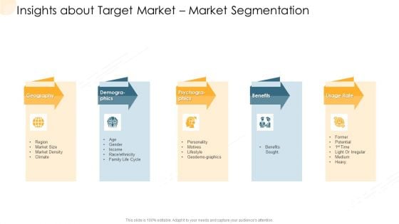 Company Process Handbook Insights About Target Market Market Segmentation Ppt Portfolio Good PDF