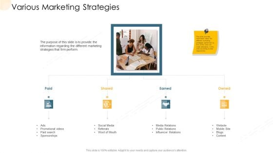 Company Process Handbook Various Marketing Strategies Ppt Layouts Picture PDF