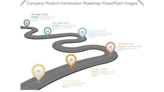 Company Product Introduction Roadmap Powerpoint Images